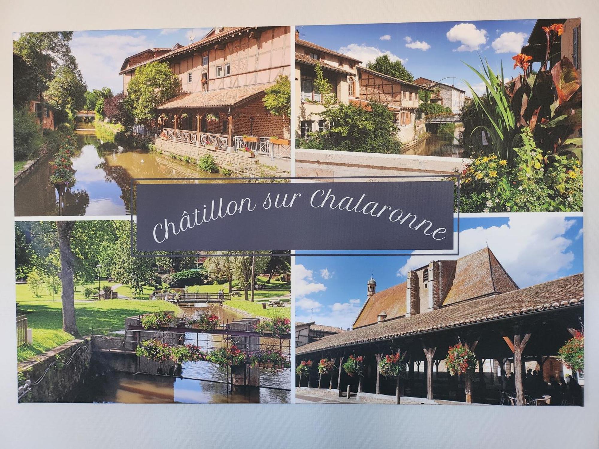 Appartamento L'@Ppart Châtillon-sur-Chalaronne Esterno foto
